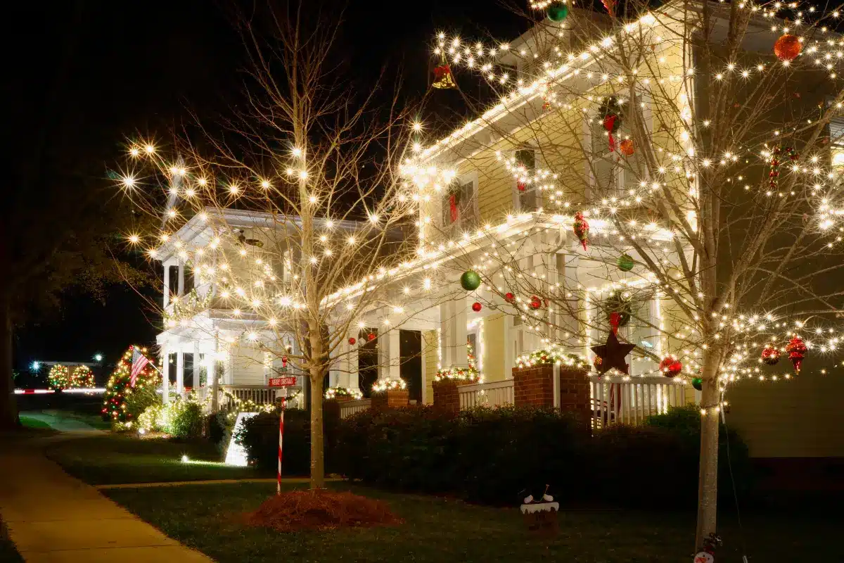 Landscape Lighting